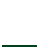 best study abroad consultancy