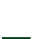 best study abroad consultancy